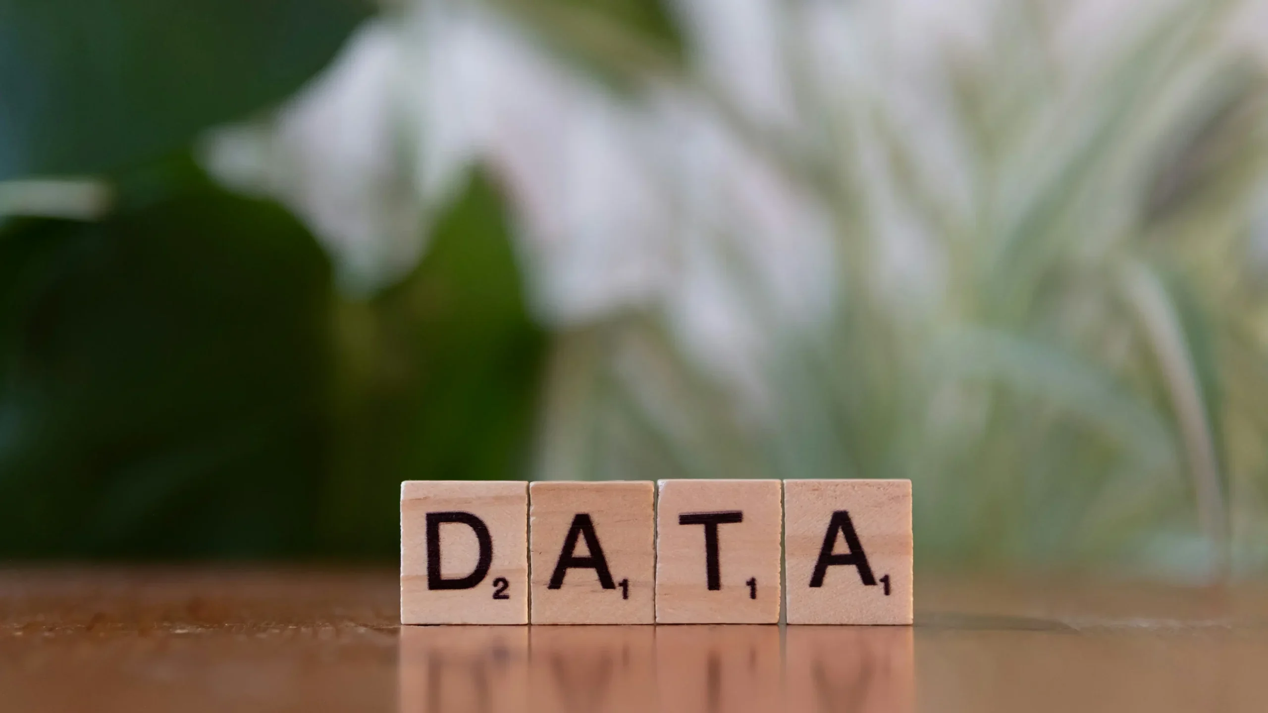 自然言語処理（NLP）